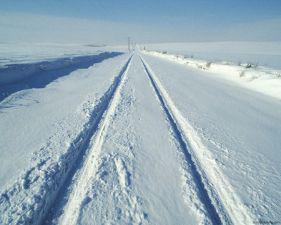 snow_tracks_1.jpg