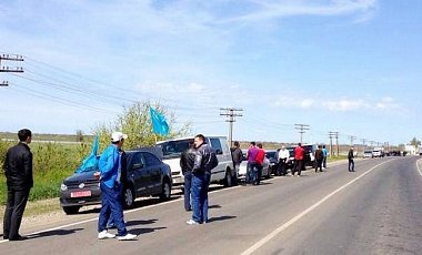 Последние данные ЦИК, результаты выборов презедента Украины, результаты выборов мера