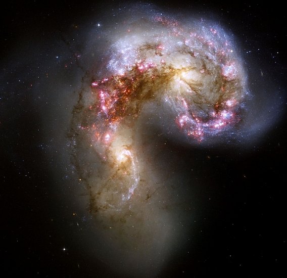 NGC 4038 — галактика в созвездии Ворон - 25-летие телескопа Хаббл: лучшие фото космоса