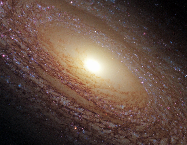 NGC 2841 — спиральная галактика в созвездии Большая Медведица - 25-летие телескопа Хаббл: лучшие фото космоса