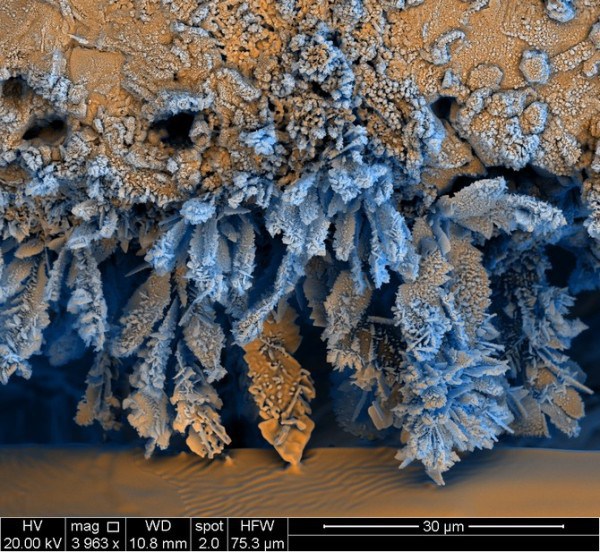Ржавчина - 30+ Фотографий под Микроскопом