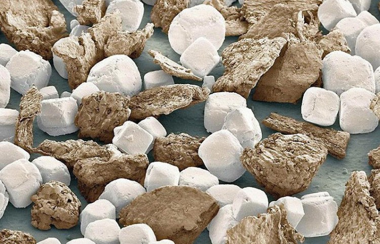 Соль и перец - 30+ Фотографий под Микроскопом