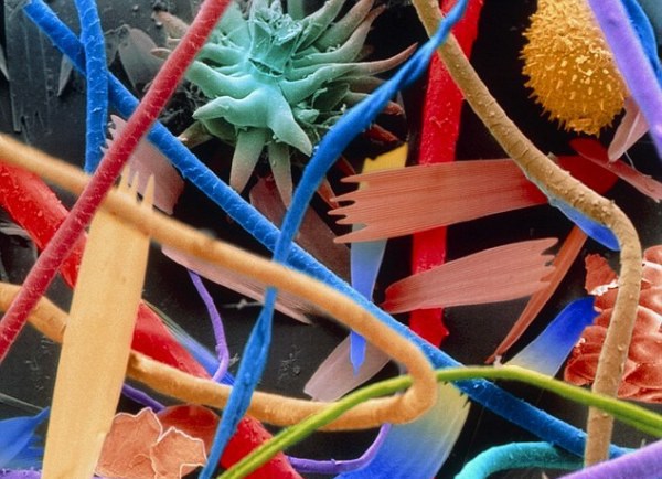 22.000.000х зум пыли - 30+ Фотографий под Микроскопом