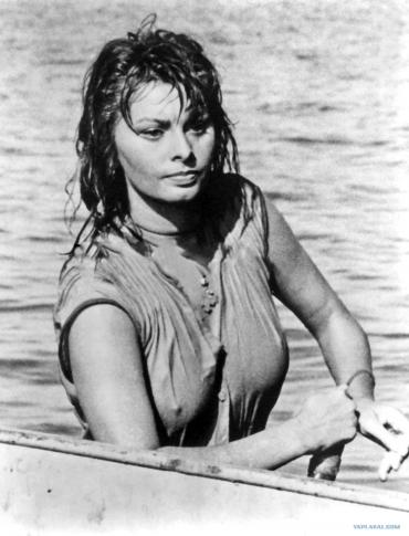 Актриса, Певица, Шикарная Софи Лорен (Sophia Loren)