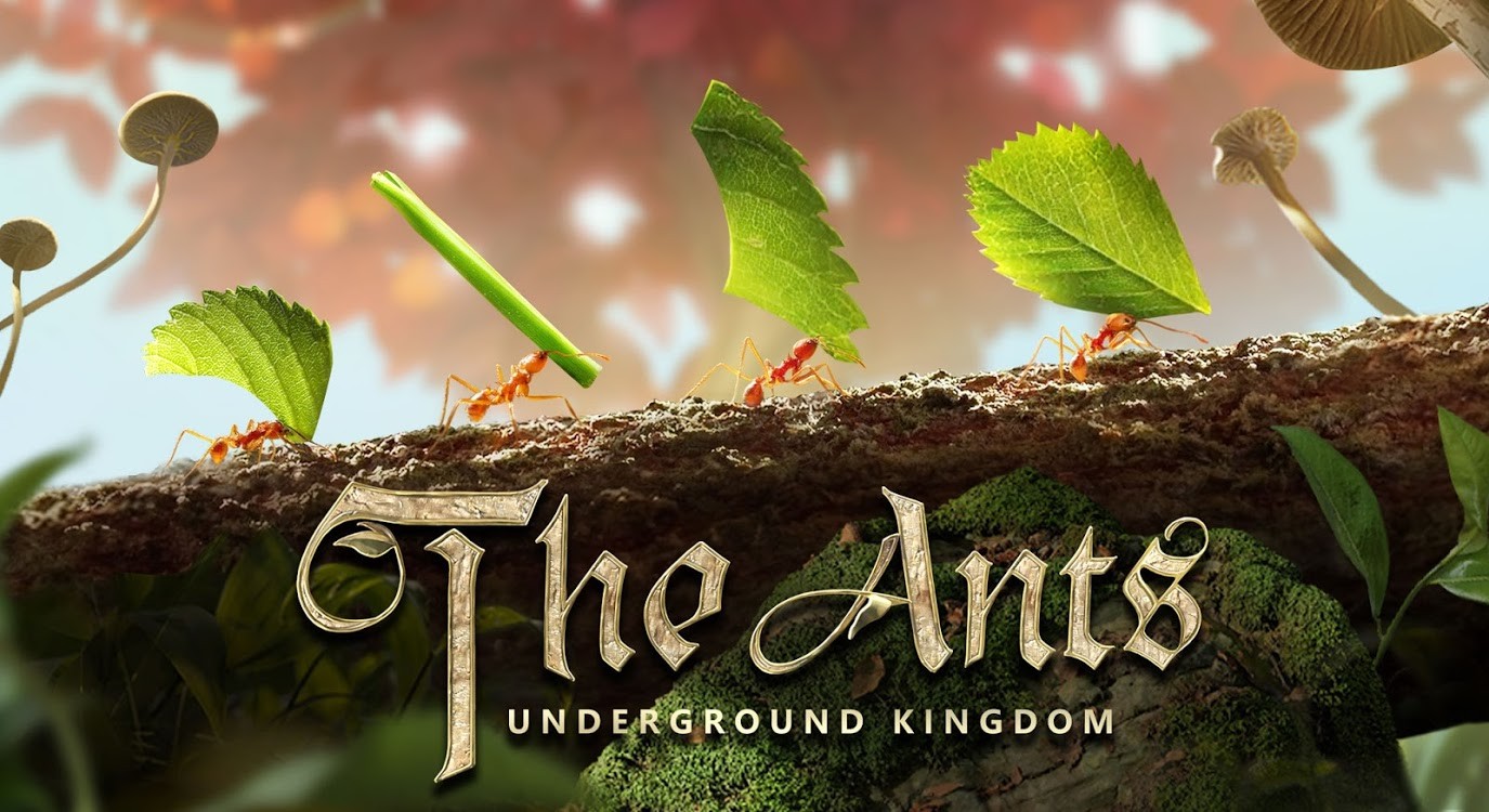 The Ants
