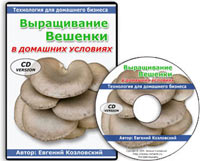выращивание грибов