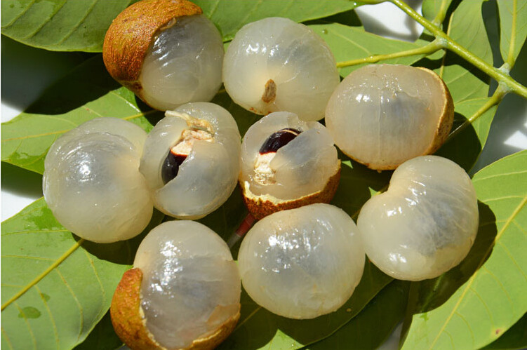 Лонган - Экзотические фрукты со всего света, о которых вы не слышали