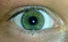 Зелёный глаз - Виды цветов глаз