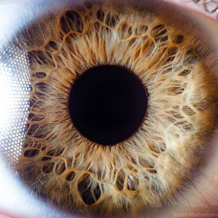 Макросъёмка человеческих глаз