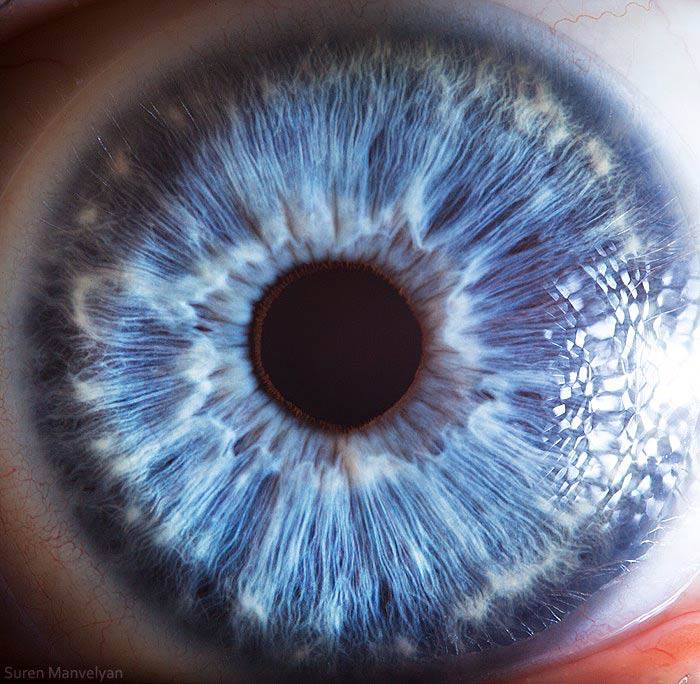 Макросъёмка человеческих глаз