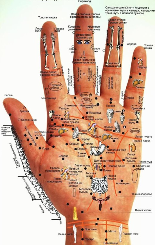 Как прочитать все важные линии на ладони без помощи гадалки
