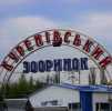 Київський пташиний ринок