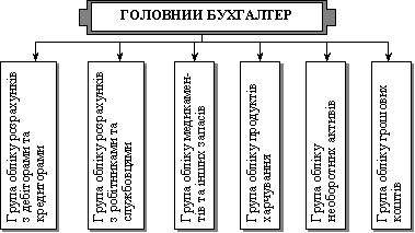 Лінійна організаційна структура апарату центральної бухгалтерії медичного закладу