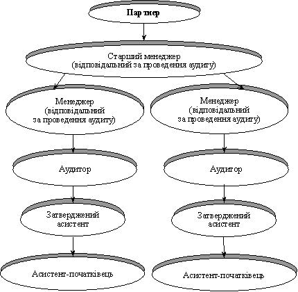 Структура аудиторської фірми