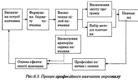 процес професійного навчання персоналу