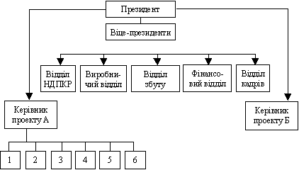 Проектна структура, побудована за лінійнопрограмним принципом: