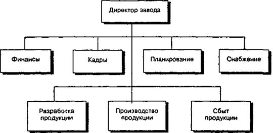 Функциональная система линейно-функциональной организационной структуры