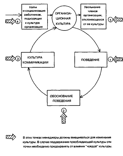 Модель воспроизводства организационной культуры