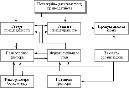 Схема взаємозв’язку працездатності і продуктивності праці 