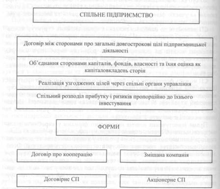 Соціально-економічна сутність спільного підприємства