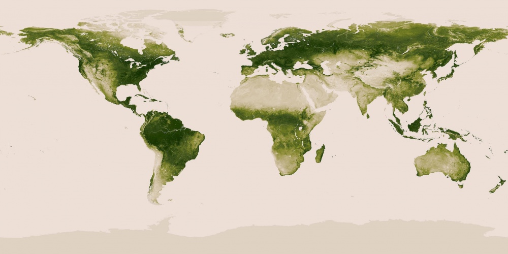 Карта растительности на Земле