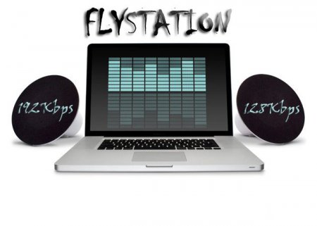 Fly station