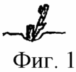 СПОСОБ ВЕДЕНИЯ ВИНОГРАДНЫХ КУСТОВ