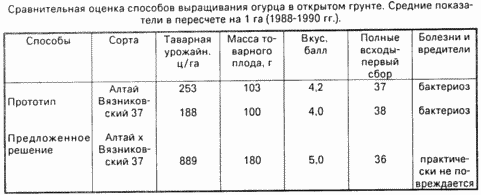 СПОСОБ ВЫРАЩИВАНИЯ ОГУРЦОВ В ОТКРЫТОМ ГРУНТЕ