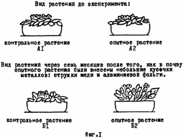 СПОСОБ ЭЛЕКТРОСТИМУЛЯЦИИ ЖИЗНЕДЕЯТЕЛЬНОСТИ РАСТЕНИЙ