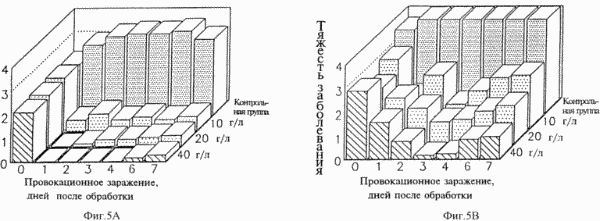 Трансламинарная защита необработанных поверхностей листьев картофеля от фитофтороза жиром тресковой печени HL различных концентраций