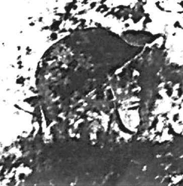 На другом снимке, полученном в тот же день, видны головы сидящих в окопе солдат (снимок 2).