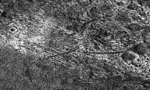 Фотография древних террас на Марсе.