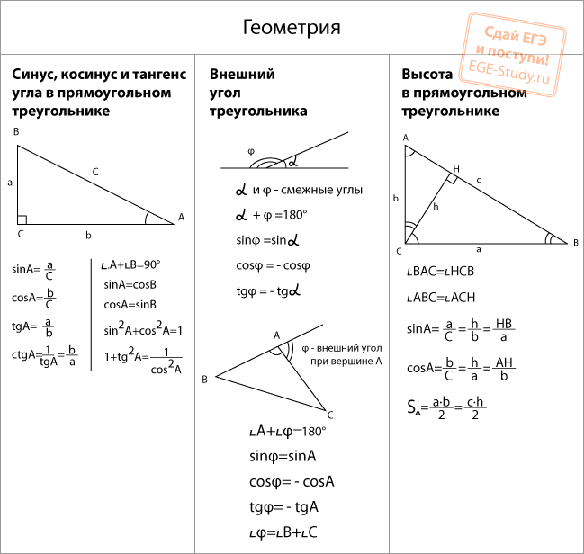 shop имбирь