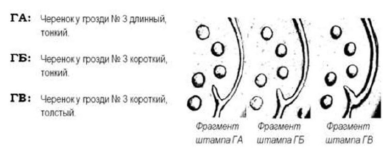 10 копеек 1992г. Английский чекан. Шестиягодник 1.34 ЕАм. Гурт. Примерная стоимость 1750-5000грн.