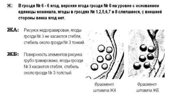 10 копеек 1992г. Английский чекан. Шестиягодник 1.34 ЕАм. Гурт. Примерная стоимость 1750-5000грн.