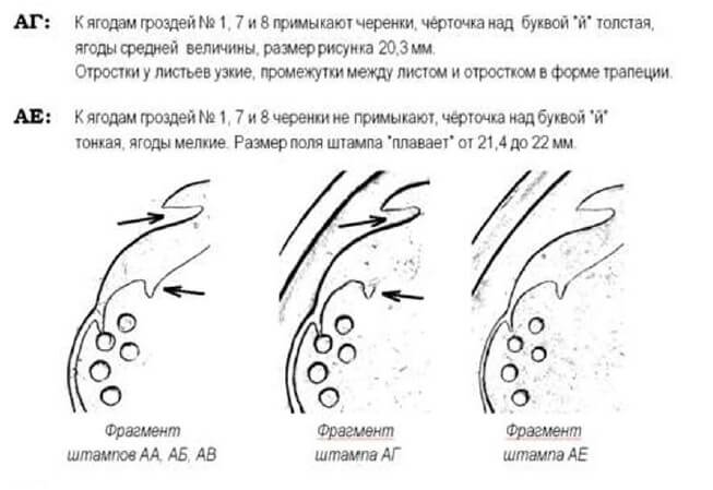 50 копеек 1992г.