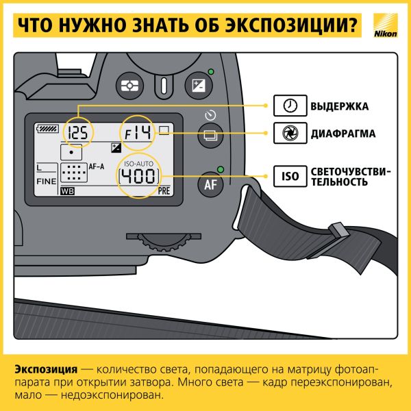 Шпаргалка начинающему фотографу Nikon