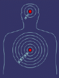 Killer Targets «Shoot Somethin Different» - Интересные мишени для стрельбы