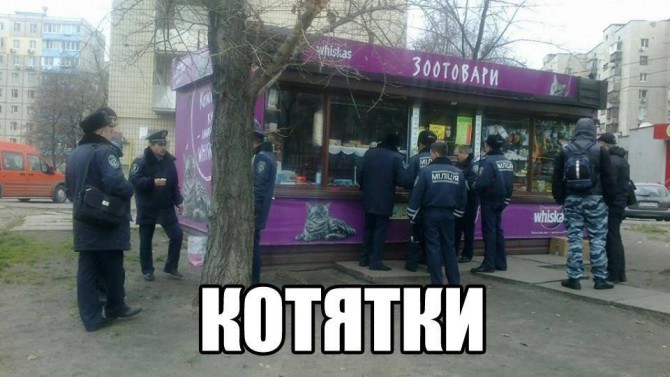Приколы, фотожабы, евромайдан