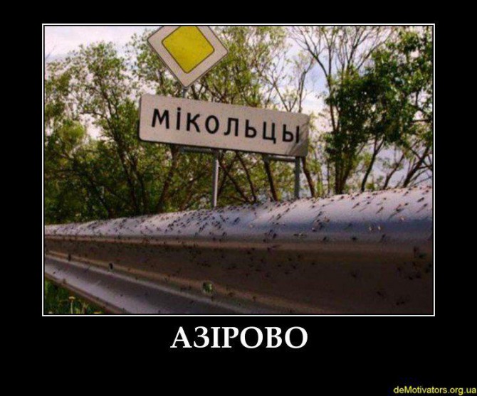Приколы, фотожабы, евромайдан