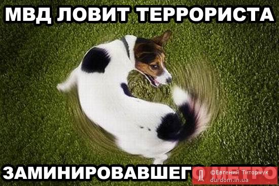 Приколы, фотожабы, евромайдан