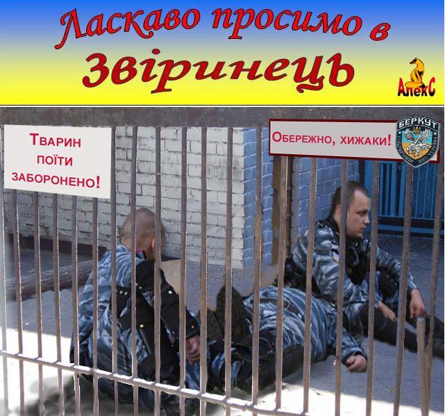Приколы, фотожабы, евромайдан