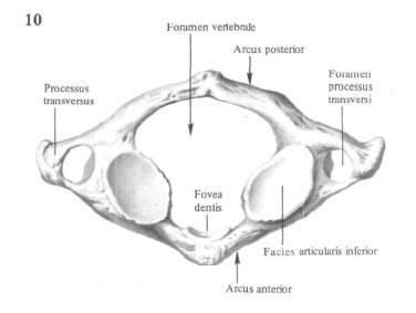 Рисунок 2