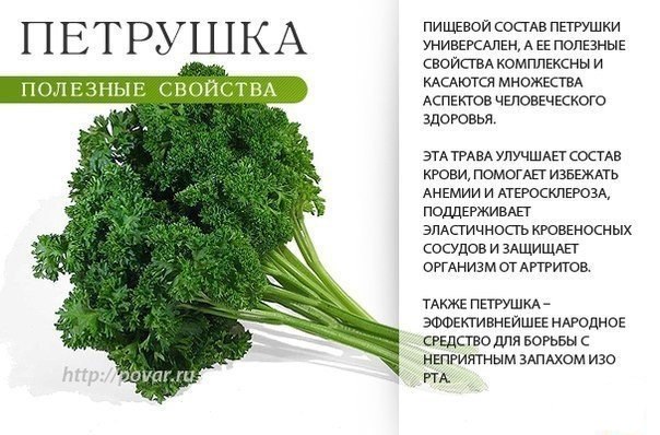 Салат с апельсинами - Кулинарные советы в картинках Салат с апельсинами - Кулинарные советы в картинках