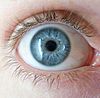 Голубой глаз - Виды цветов глаз