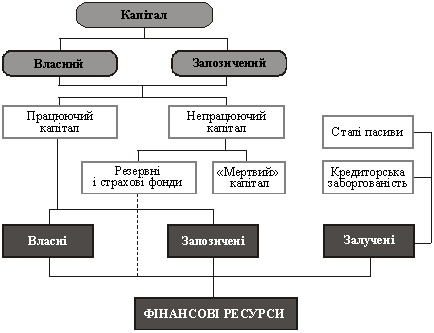 Взаємозв’язок капіталу і фінансових ресурсів підприємств