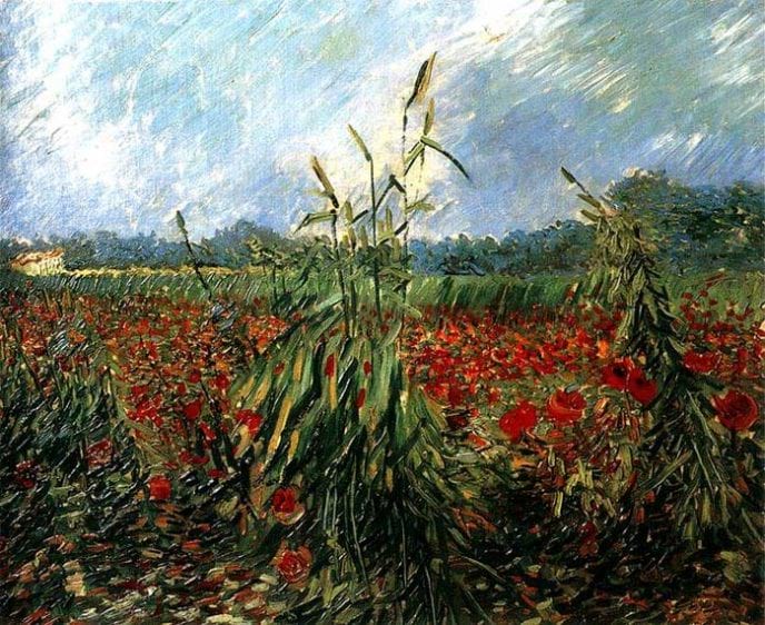 Маки 1887 г. - Картины Ван Гога, которые должен знать каждый