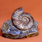 Полудрагоценные камни, Самоцветы