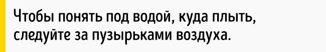 Как выбраться живым из тонущей машины Как выбраться живым из тонущей машины