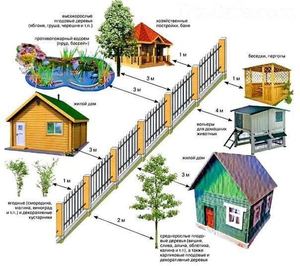 Сколько метров должно быть до забора, если сосед строит новый дом, сажает деревья создает другие объекты?